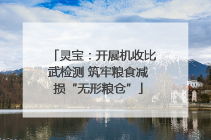 灵宝：开展机收比武检测 筑牢粮食减损“无形粮仓”